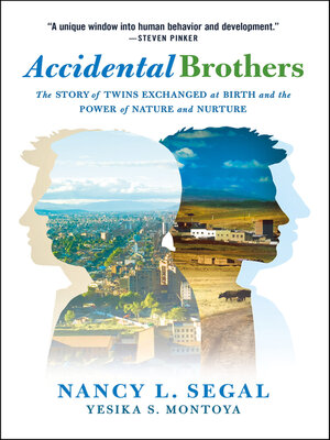 cover image of Accidental Brothers